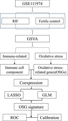 Three Oxidative Stress-Related Genes That Associate Endometrial Immune Cells Are Considered as Potential Biomarkers for the Prediction of Unexplained Recurrent Implantation Failure